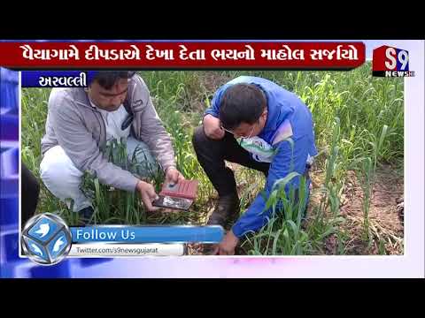 Arvalli : વૈયાગામે દીપડાએ દેખા દેતા ભયનો માહોલ સર્જાયો
